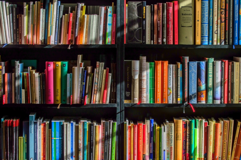 vente-DURANUS-min_books_bookstore_book_reading_shop_writer_sale_books_read-822866